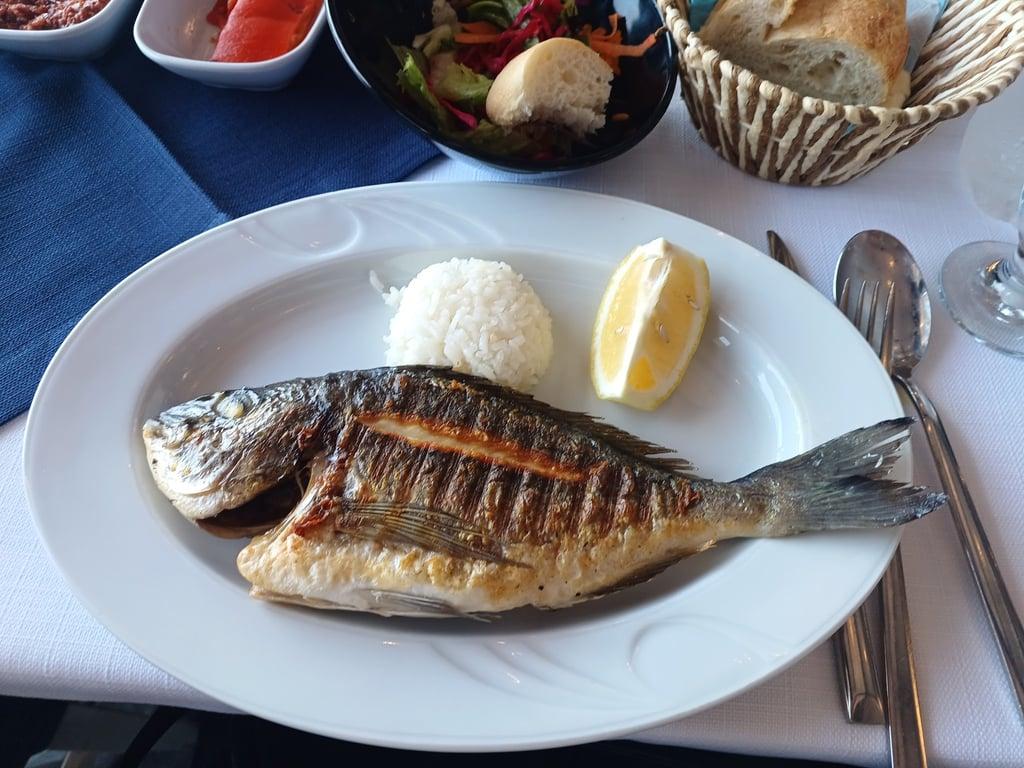 GALATA MARMARA BALIK fotoğraf 3