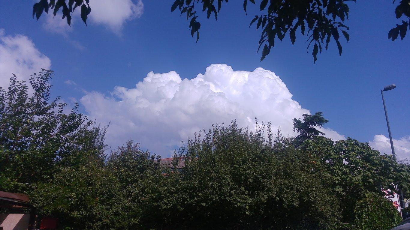 Bizim Köfte fotoğraf 14