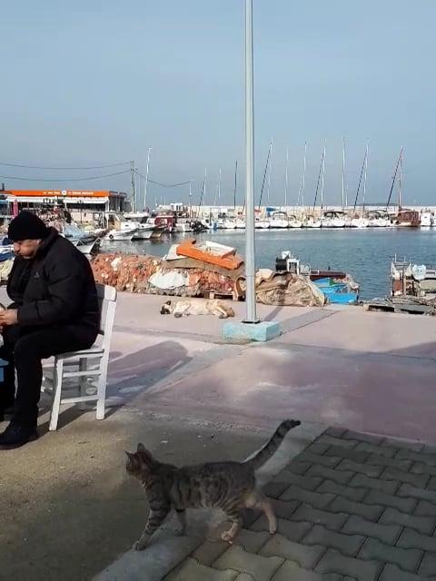S.A.H.İ.L. Urla fotoğraf 9