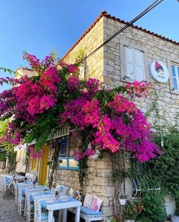 Azize Alaçatı Meyhanesi fotoğraf 5