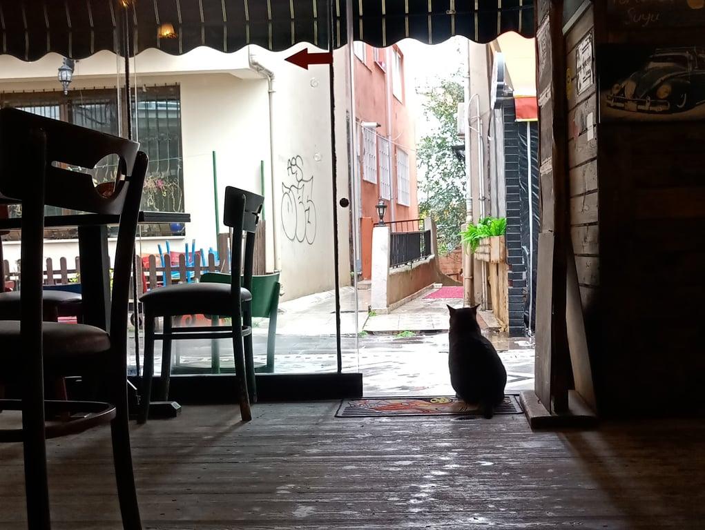 Tosbağa Cafe fotoğraf 5