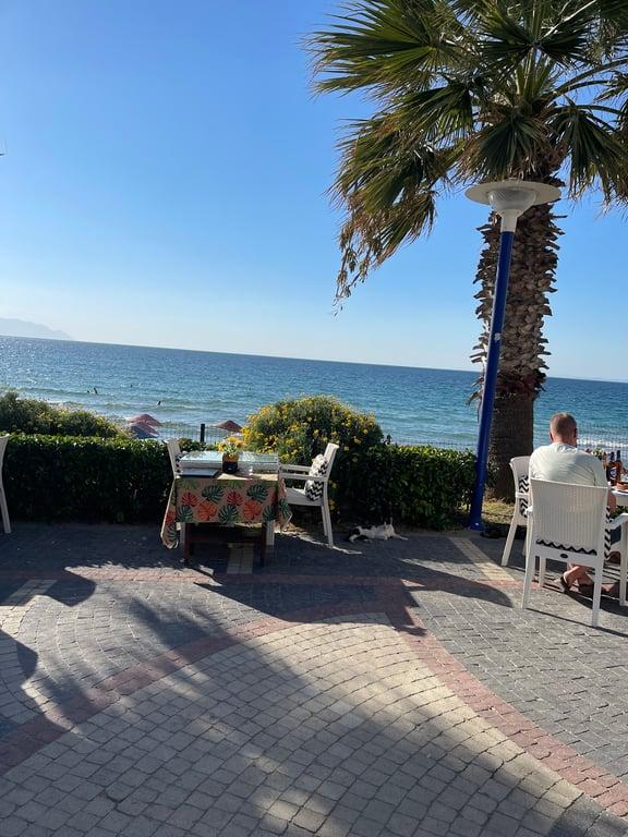Palm Beach Cafe Restaurant-bar fotoğraf 4