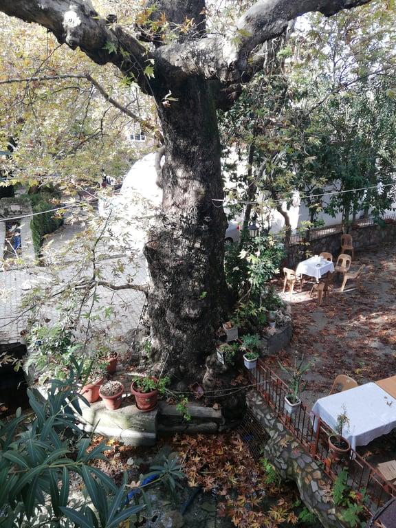 HAMMUŞUN YERİ YAĞMUR KAHVALTI SALONU fotoğraf 13
