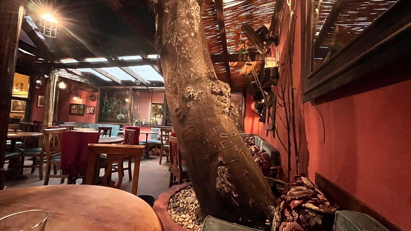 Lâl Cafe Bar fotoğraf 1