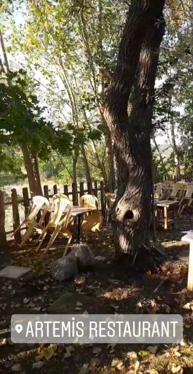 ARTEMIS RESTORAN fotoğraf 8
