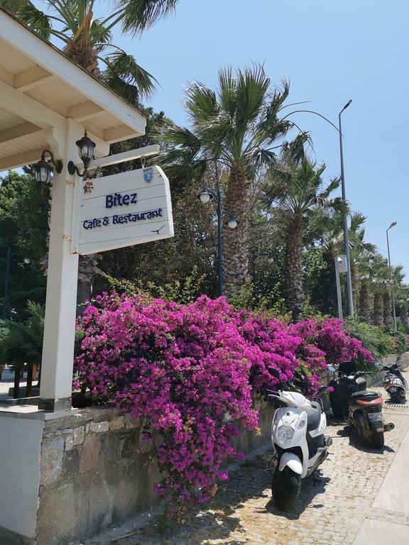 Bitez Cafe & Restaurant - Bodrum Belediye A.Ş. fotoğraf 3