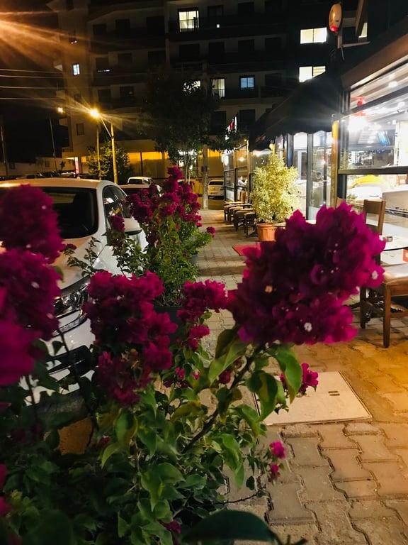 Fors-Et Bornova Şubesi fotoğraf 12