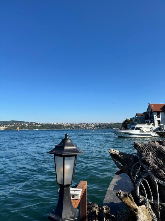 Taka balık fotoğraf 1