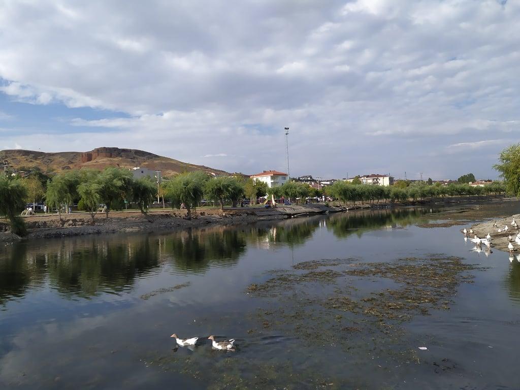 Sur Balık Restoran Avanos fotoğraf 7
