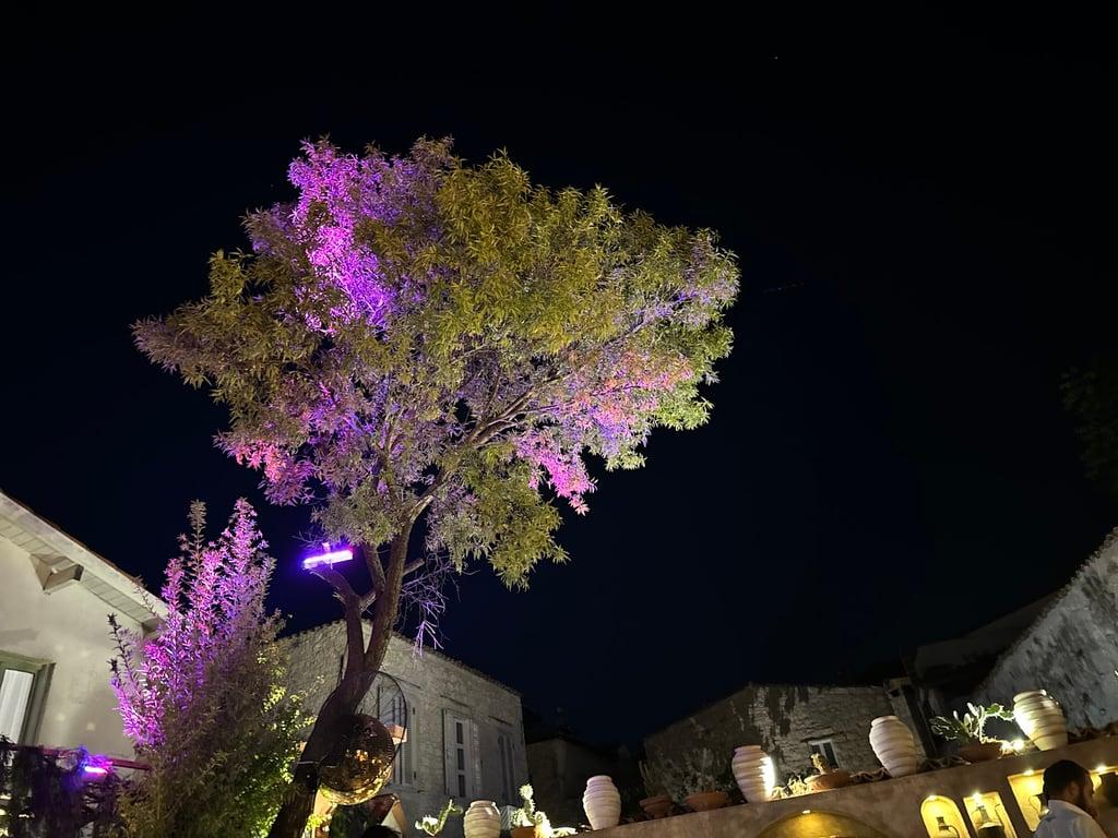 Efendiler Kulübü Alaçatı fotoğraf 6