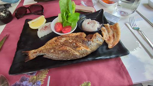 Münhani Istanbul Restaurant fotoğraf 7