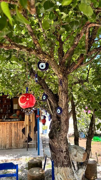 Narlı bahçe pomegranate Garden - Ölüdeniz En İyi Köy Kahvaltısı - Hisarönü Ovacık En İyi Kahvaltı - Ev Yapımı Ürünler fotoğraf 7