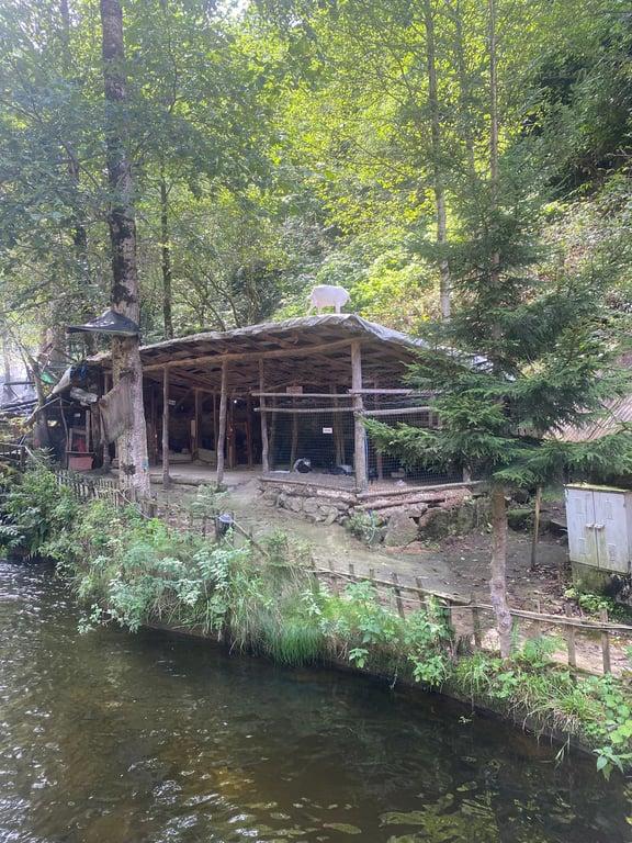 Ayder Alabalık Çiftliği Ve Dinlenme Tesisleri fotoğraf 3