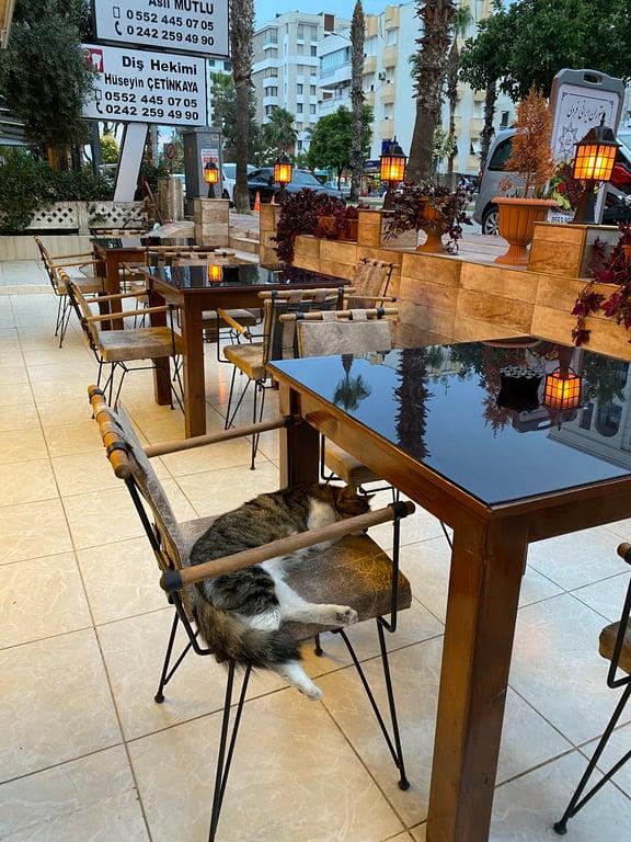 FEREDLI Restaurant
