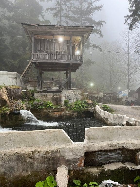 Ayder Alabalık Çiftliği Ve Dinlenme Tesisleri fotoğraf 6