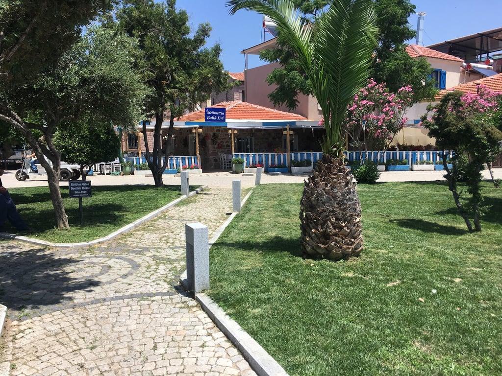 Şef Mehmet'in Balık Evi fotoğraf 10