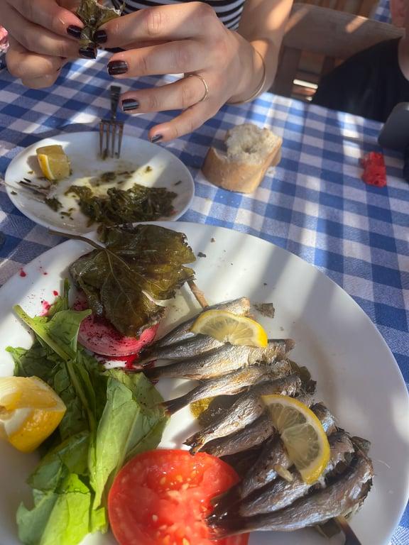 Assos Köyüm Restaurant fotoğraf 2