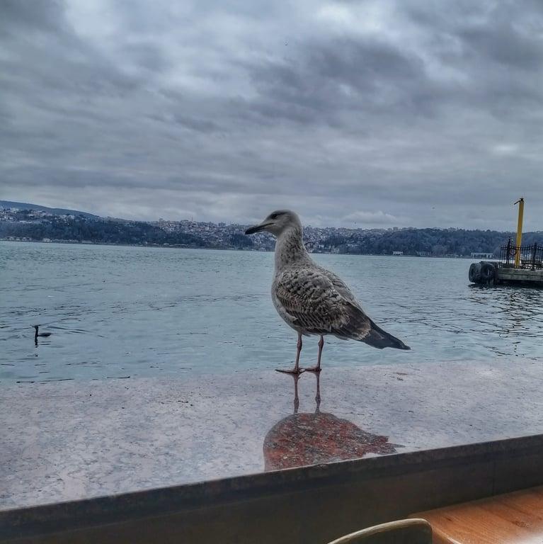 Emek Cafe fotoğraf 4