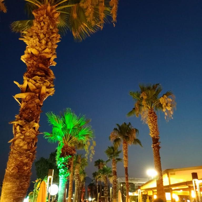 Lucky 13 Beach Restaurant fotoğraf 9