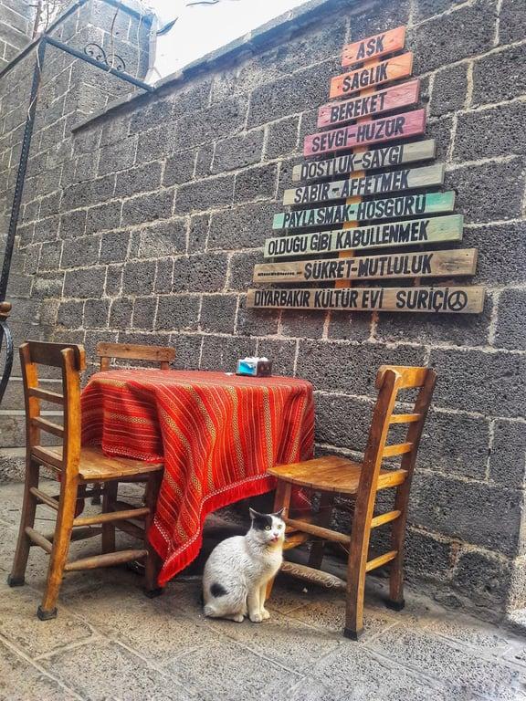 Diyarbakır Kültür Evi fotoğraf 7
