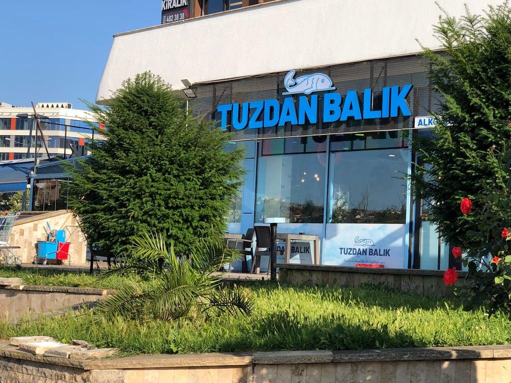 Tuzdan Balık fotoğraf 6