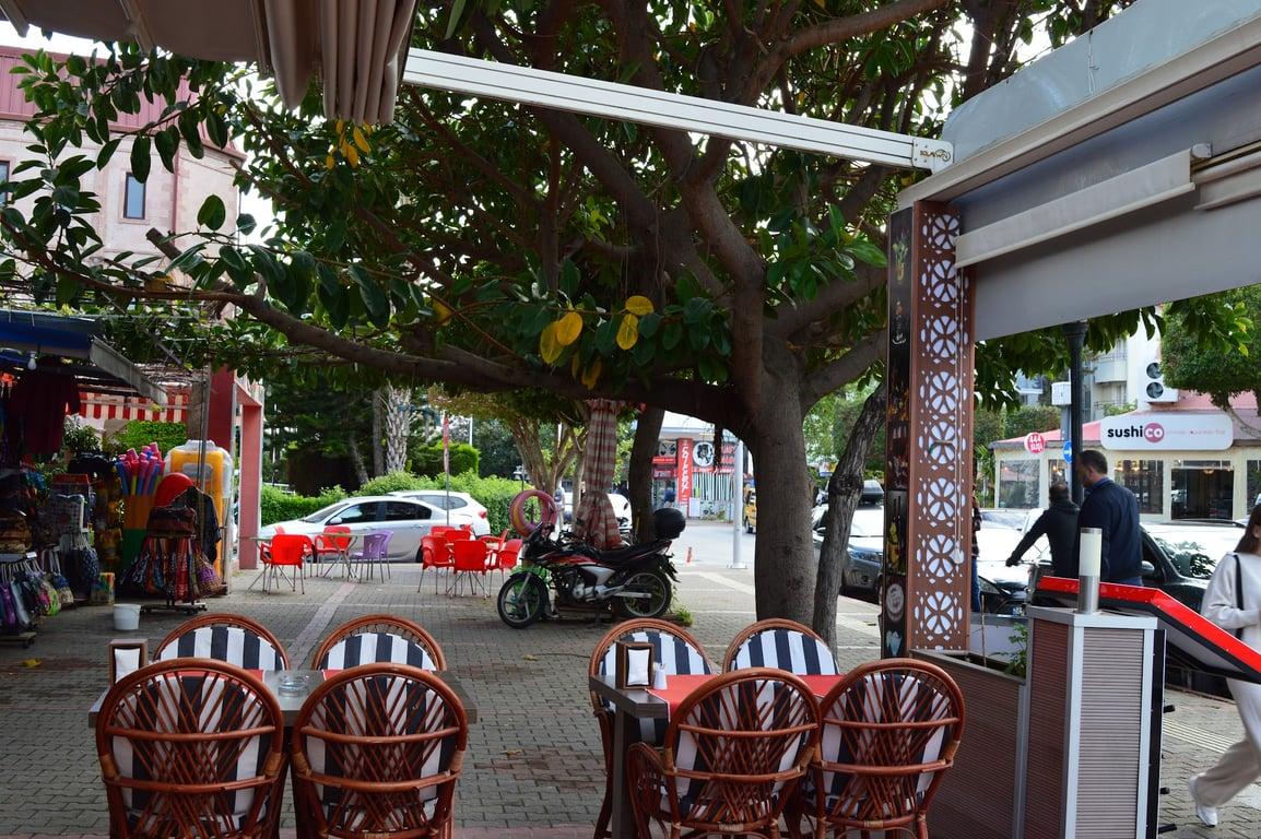 Zorro Restoran