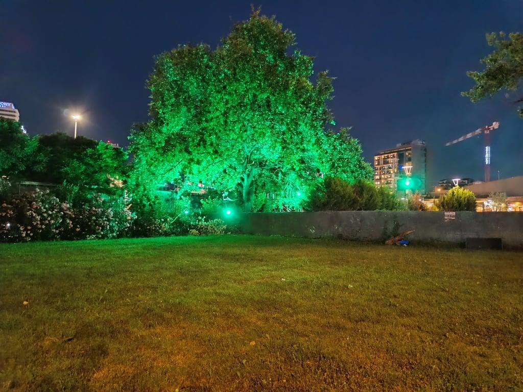 Çiçek Izgara Nilüfer fotoğraf 2