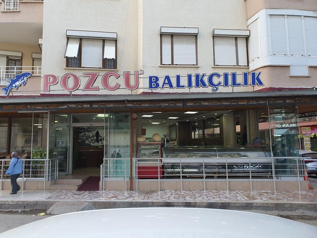 Pozcu Balıkçılık fotoğraf 12
