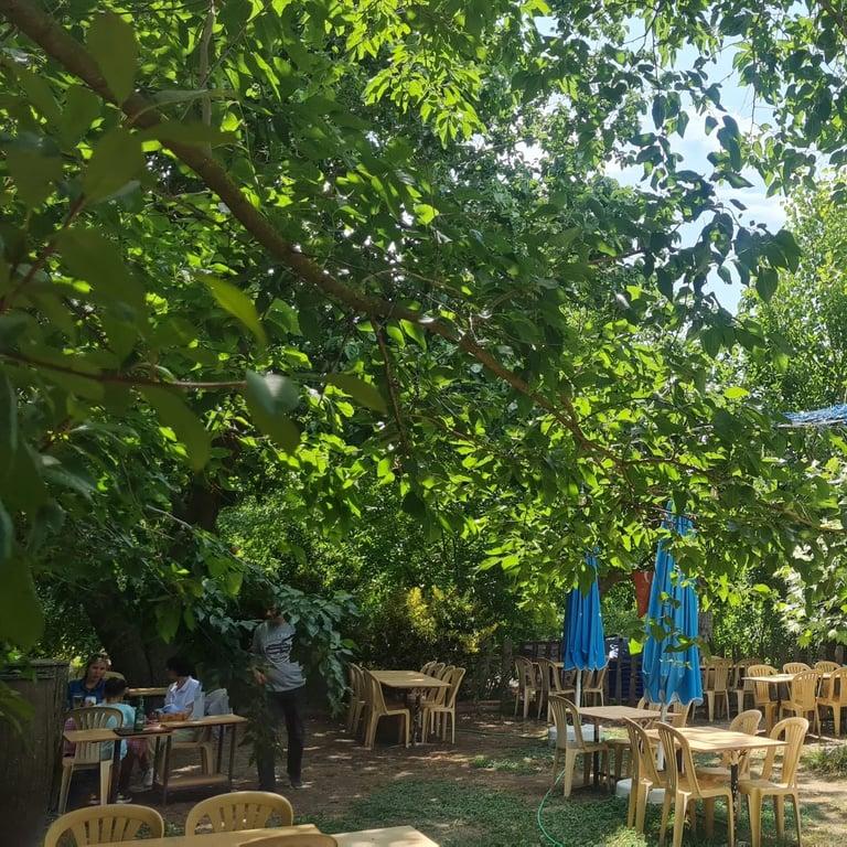 ARTEMIS RESTORAN fotoğraf 5