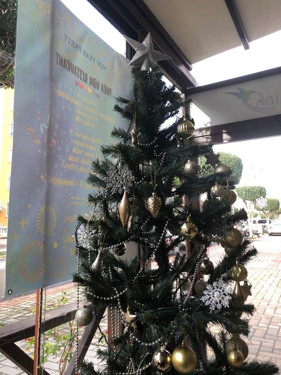 Pura Vida Restaurant fotoğraf 16