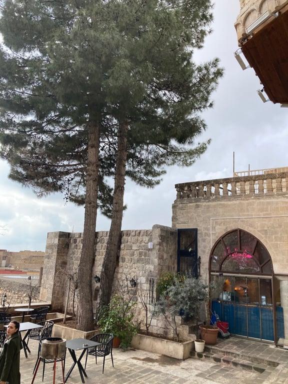 TAUS fotoğraf 11
