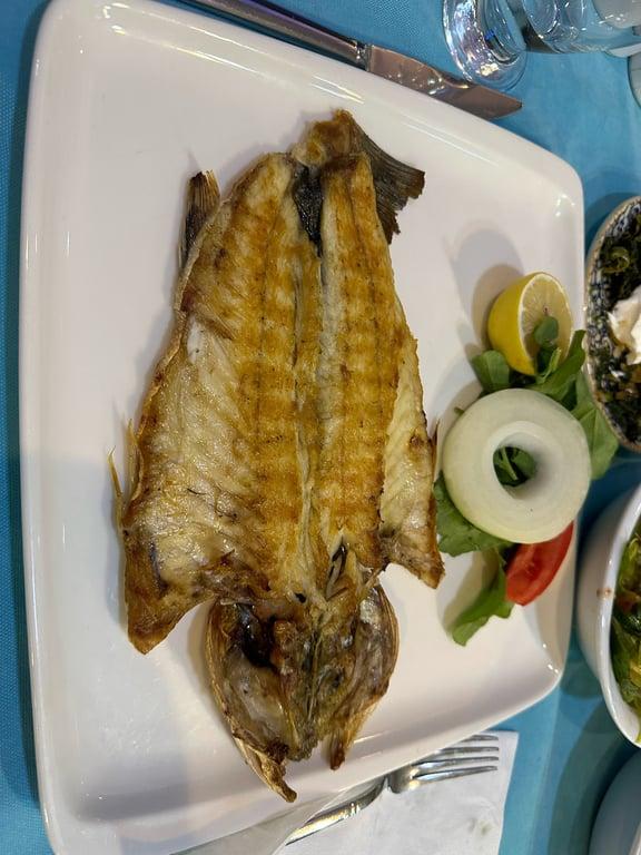 Yelken Balik Evi fotoğraf 9