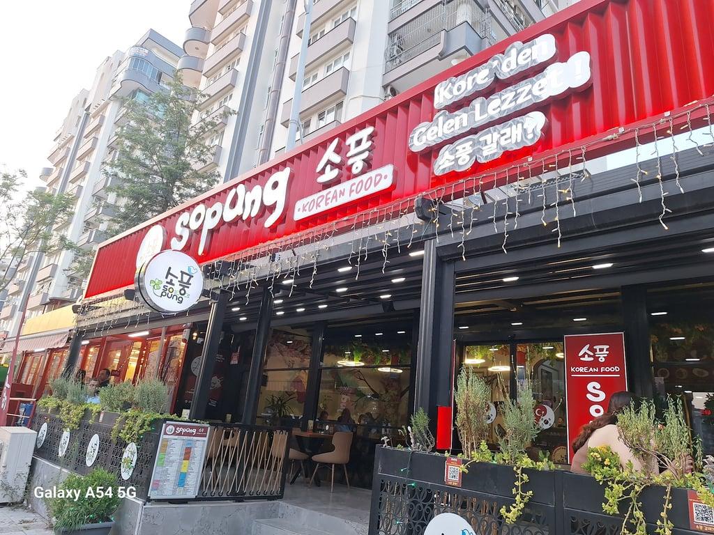 Sopung Adana fotoğraf 9