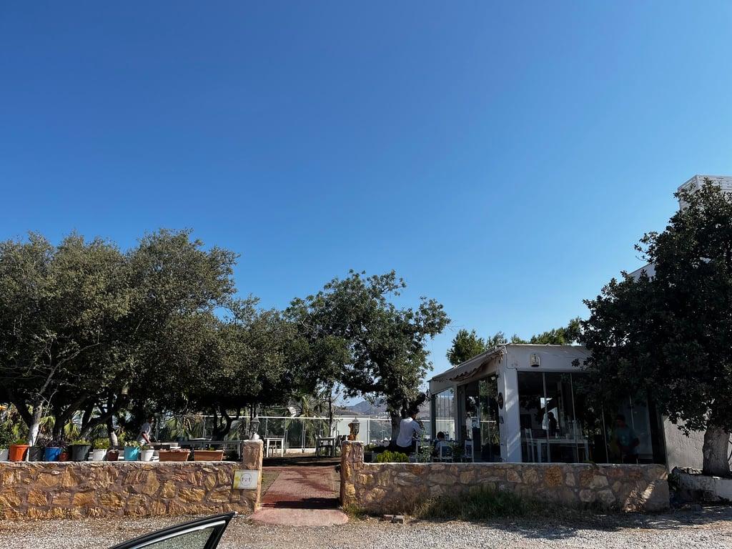 Turgutreis Manzara fotoğraf 8