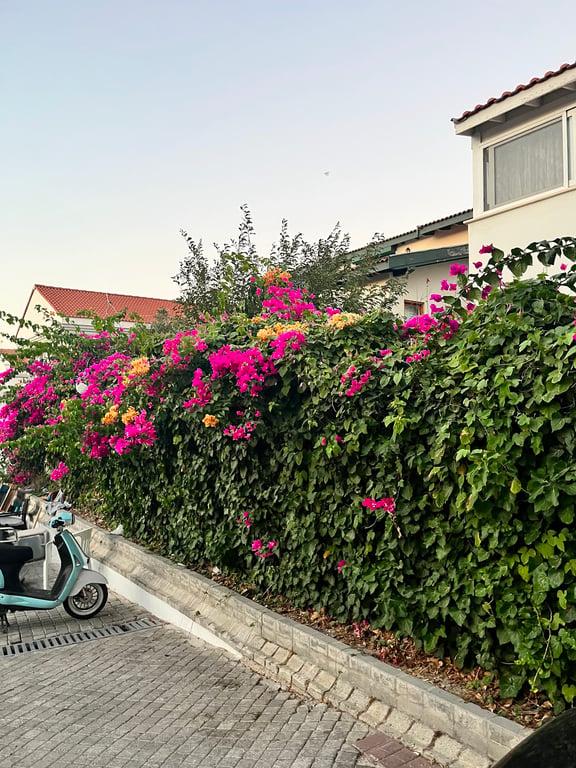 Türkiye İş Bankası Çeşme Dinlenme Kampı fotoğraf 7