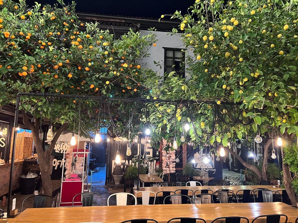 LUNA GARDEN fotoğraf 20