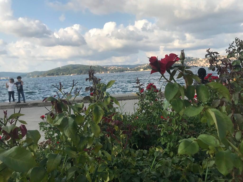 Yeniköy Kaşıbeyaz Bosphorus fotoğraf 4