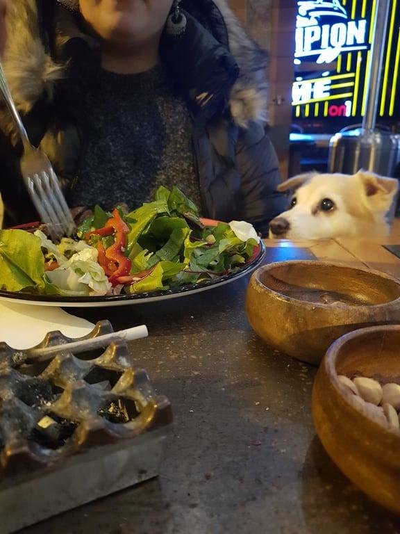 On1 Bistro fotoğraf 17