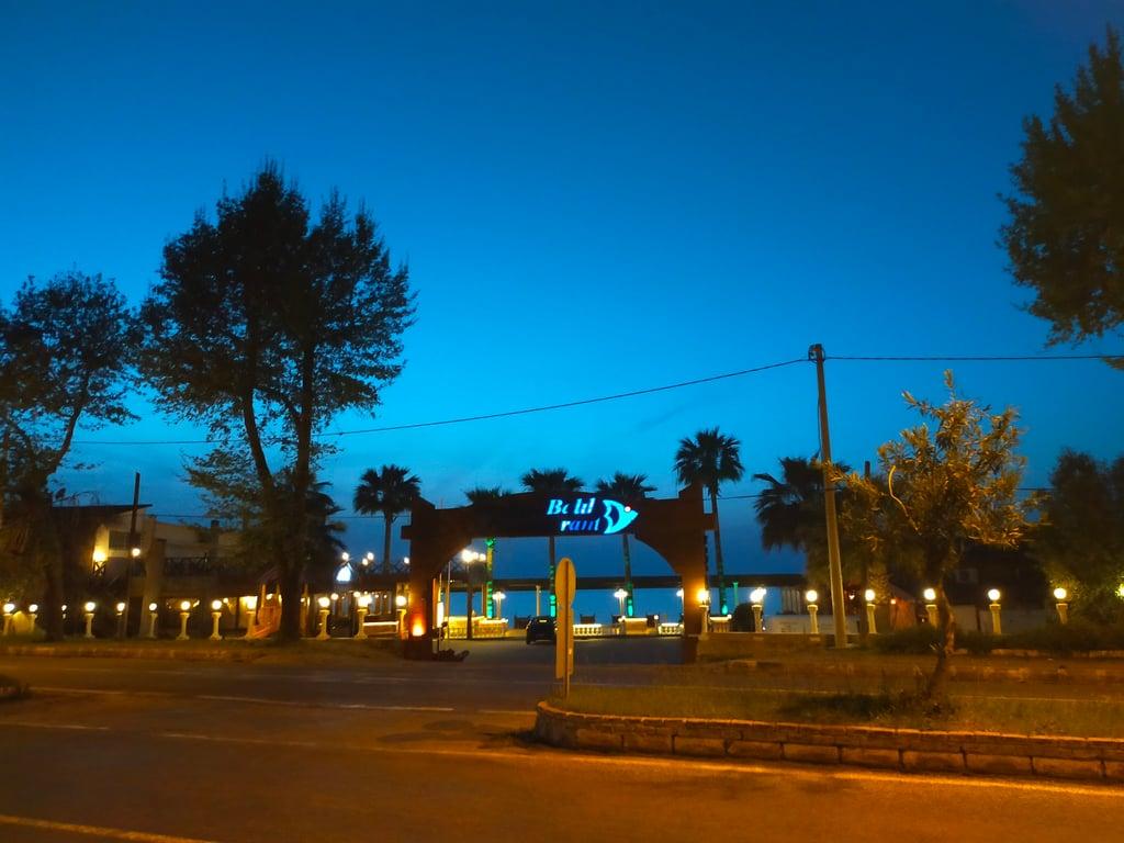 Kıyı Balık Restaurant fotoğraf 8