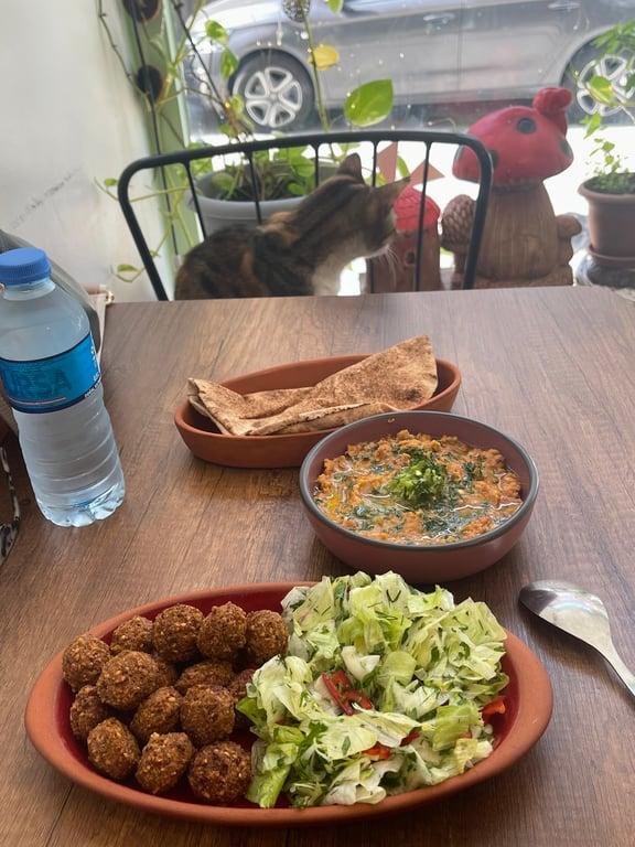 Falfool Vegan House ( Falafel & Hummus ) fotoğraf 9