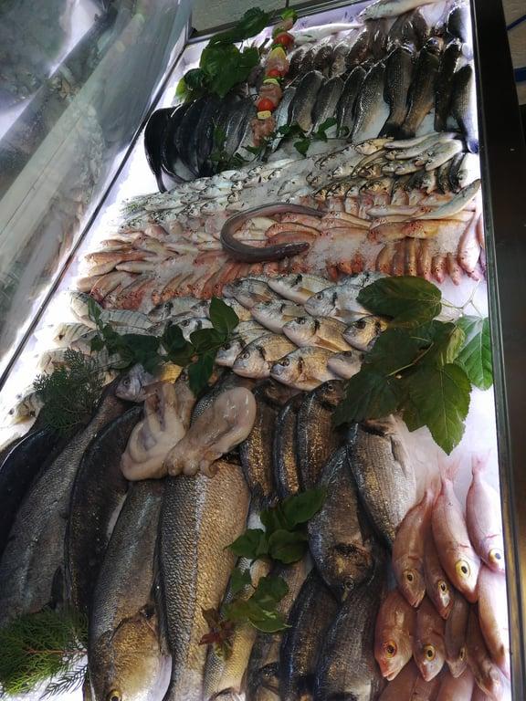 Balıkçı Bülent fotoğraf 20