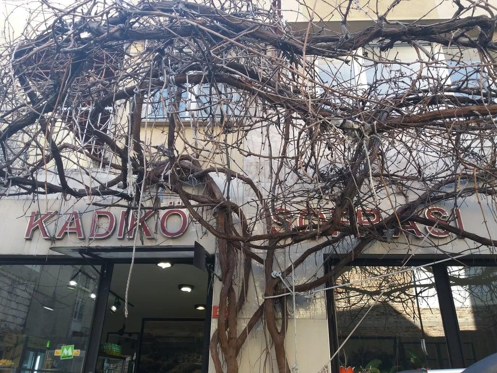 Kadıköy Sofrası fotoğraf 8