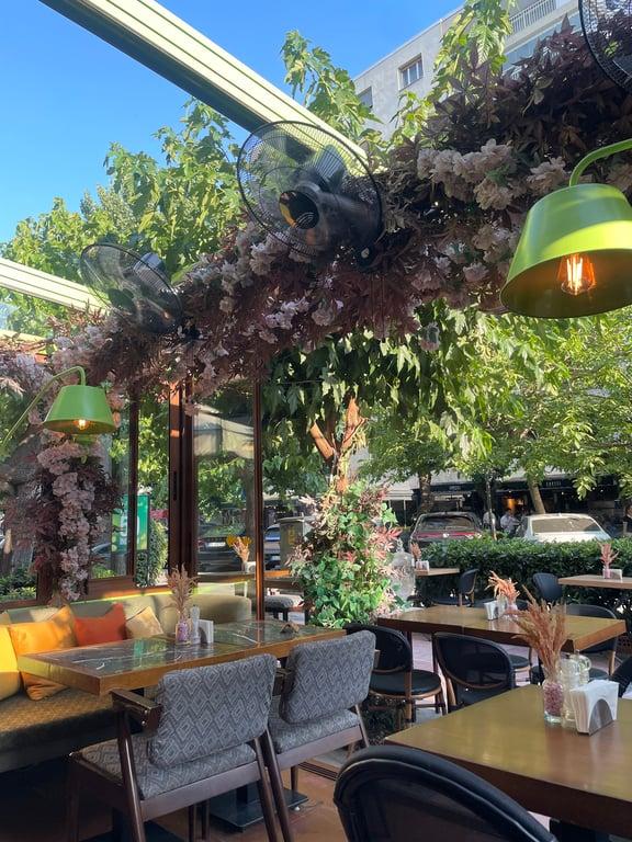 Favino Alsancak fotoğraf 6
