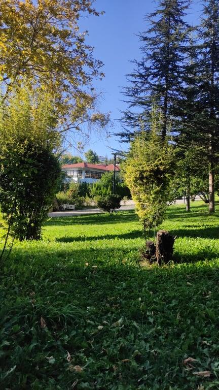 Hâcegân Sofrasi fotoğraf 9