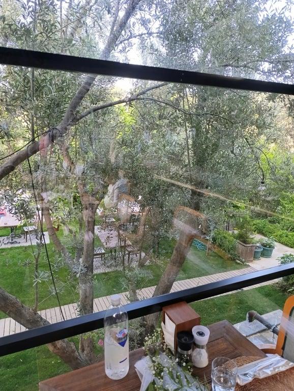Pinoliva Garden Restaurant fotoğraf 9