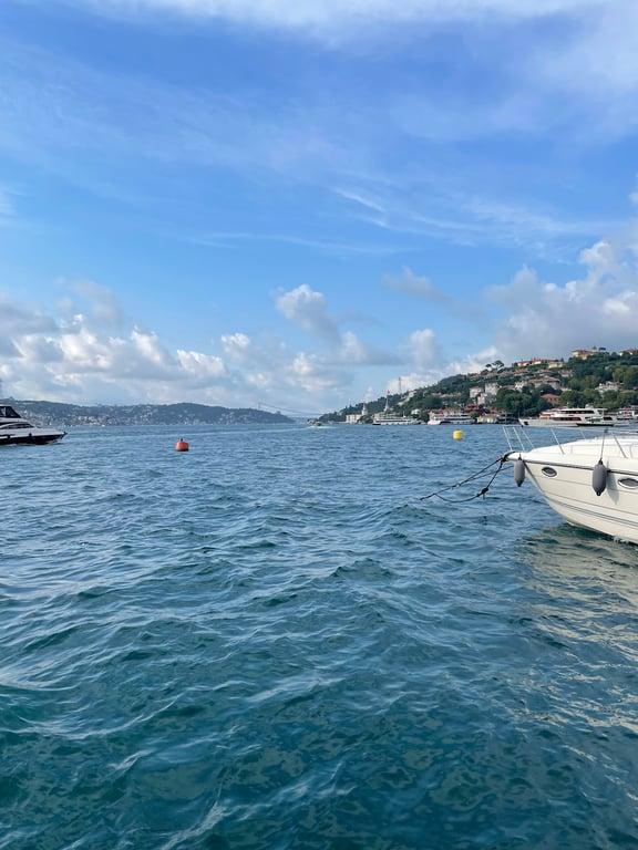 Beylerbeyi Doğa Balık & Kahvaltı fotoğraf 6