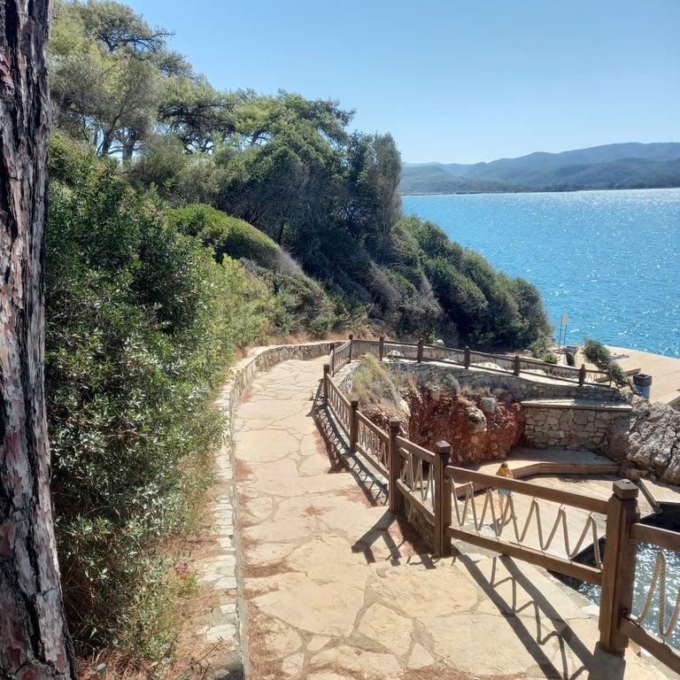 Akyaka Orman Kampi Restorani fotoğraf 9
