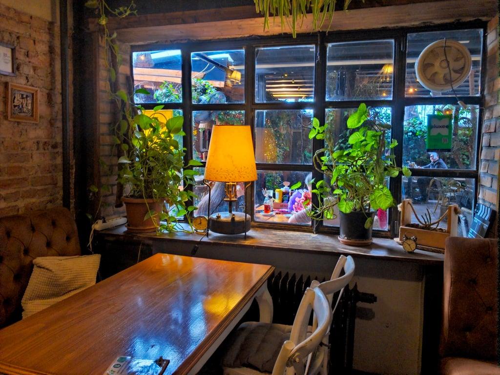 Cafe Botanica fotoğraf 2