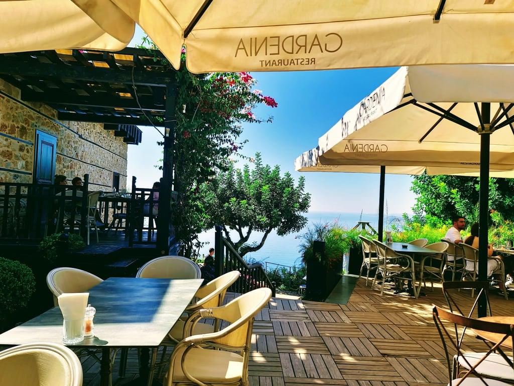 Gardenia Restaurant fotoğraf 16