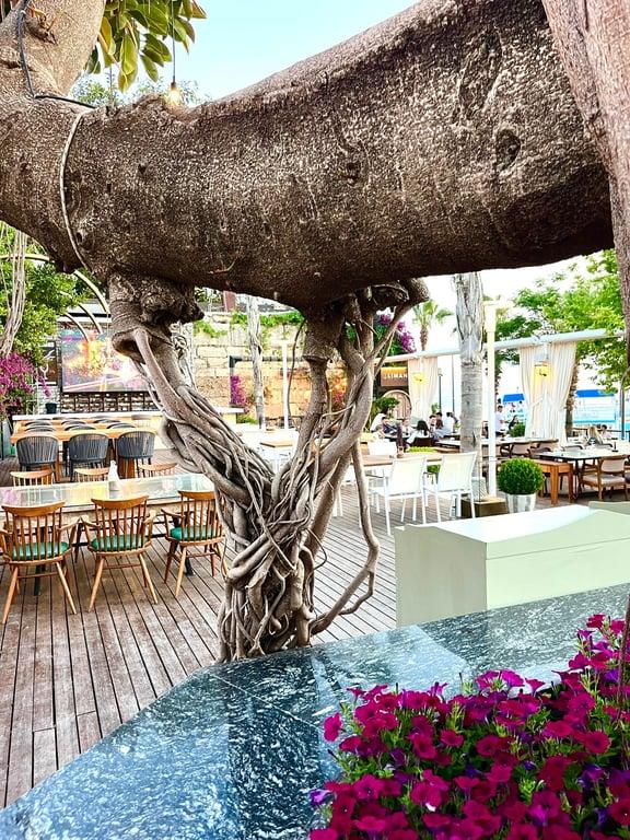 LİMAN RESTAURANT LOUNGE CLUB fotoğraf 14